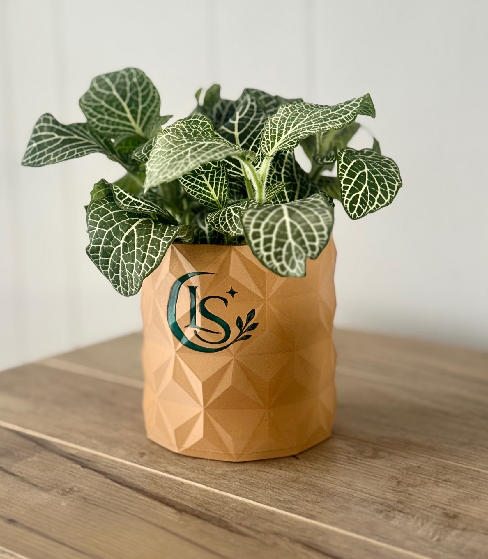 LunaSprig branded planter giveaway